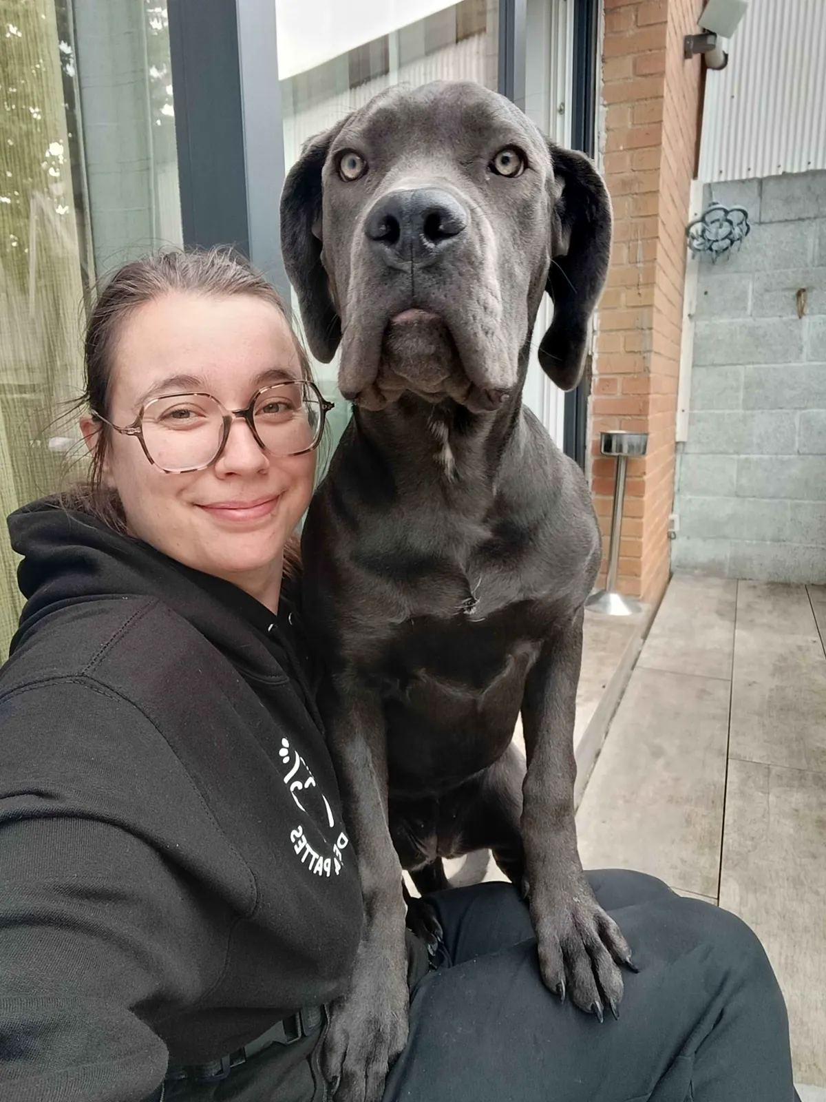 Selfie complice avec un grand chien gris lors d'une visite à domicile